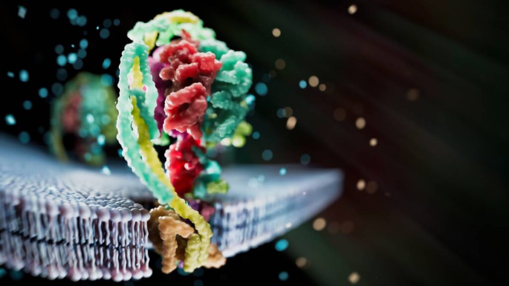 Utah Anesthesia Services